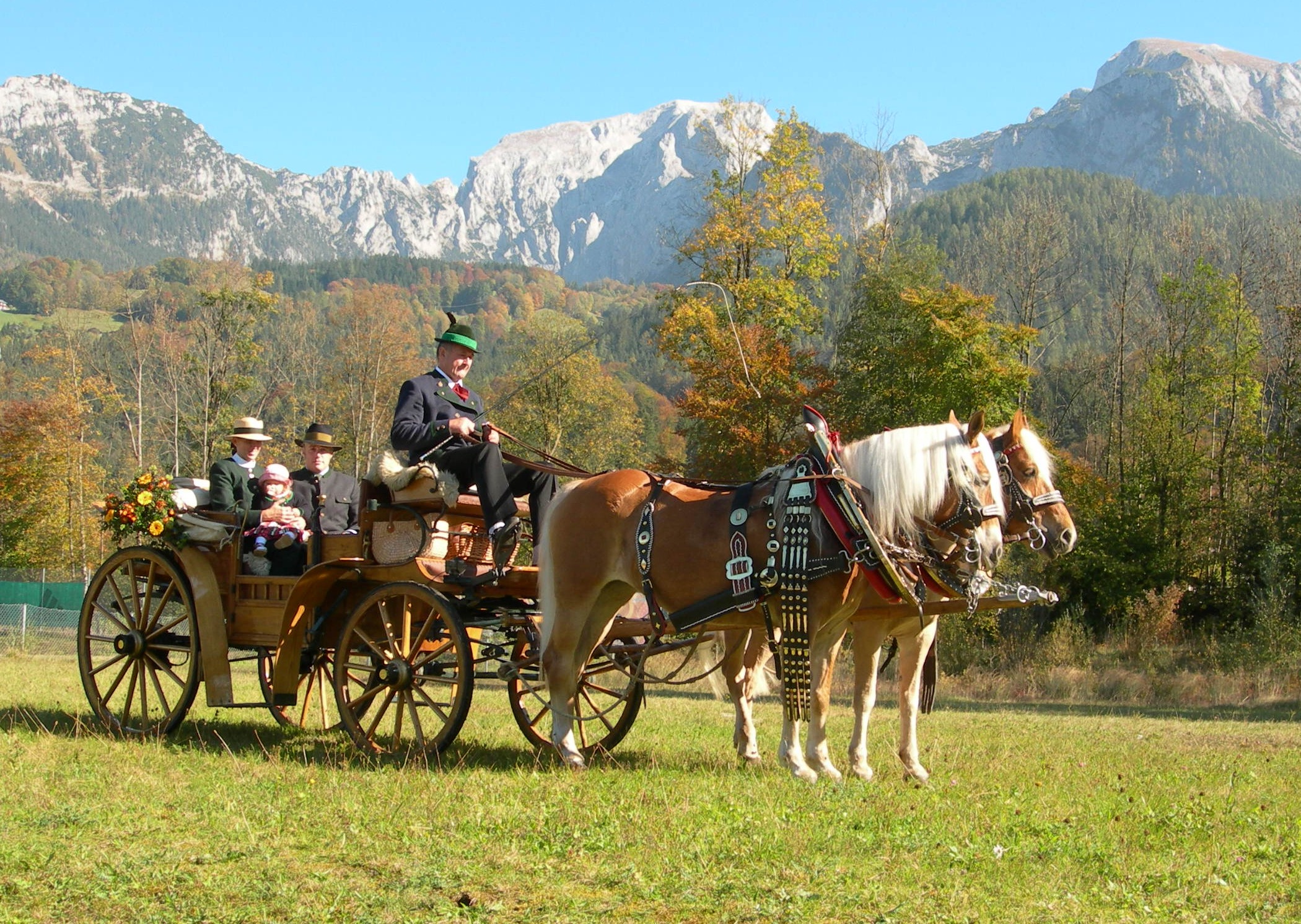 Kutschfahrt - Hochzeit J1