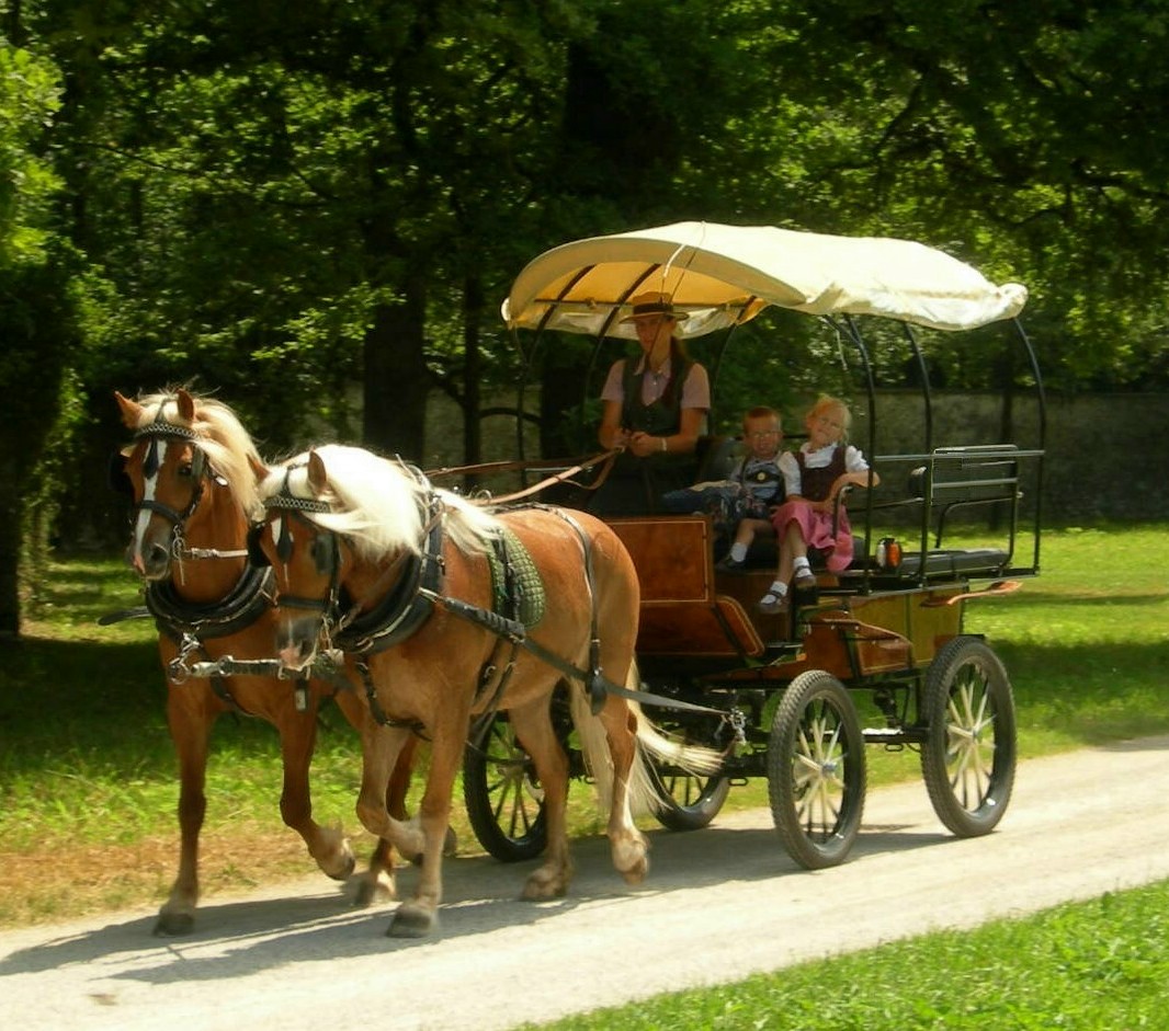 Kutschfahrt - Hellbrunn