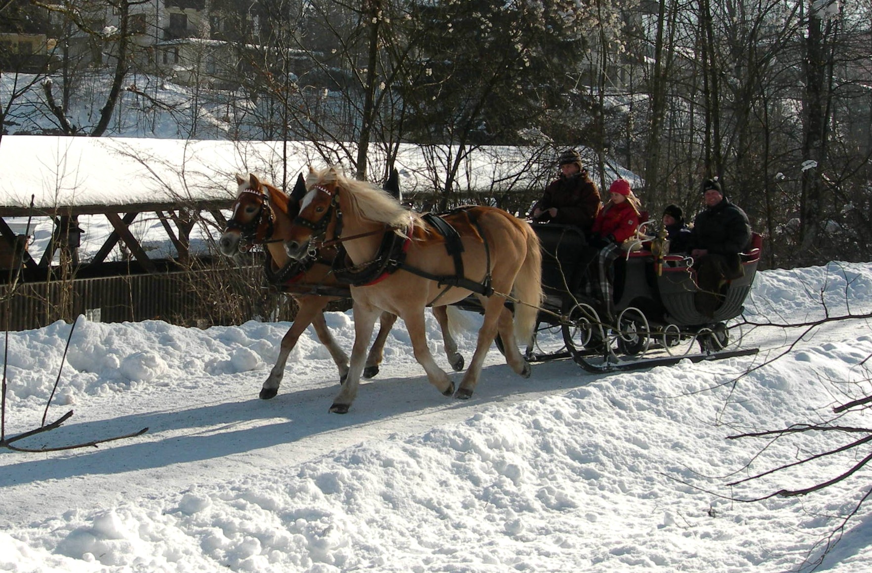 Kutschfahrt - Schlitten Triftsteg