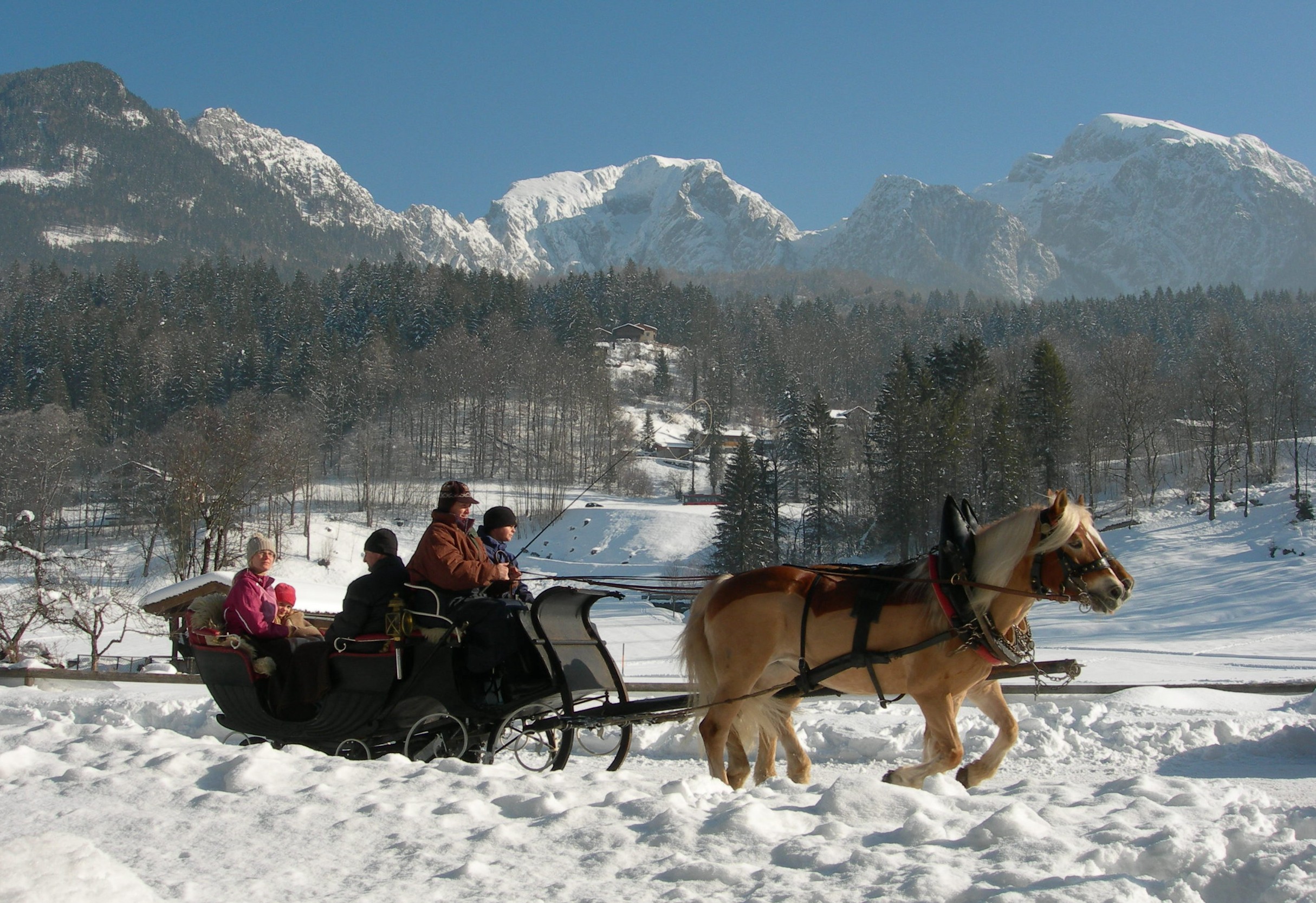 Kutschfahrt - Schlitten Waldstein