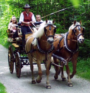 Kutschfahrt - Romantikfahrt Fußweg